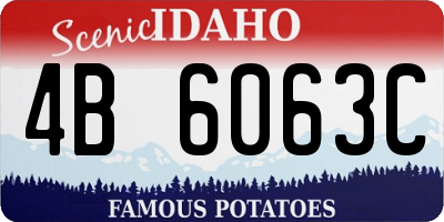 ID license plate 4B6063C