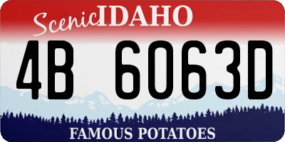 ID license plate 4B6063D