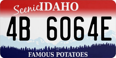 ID license plate 4B6064E