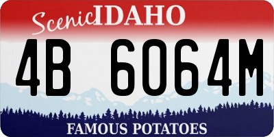ID license plate 4B6064M