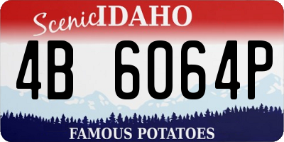 ID license plate 4B6064P