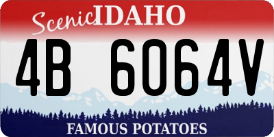ID license plate 4B6064V