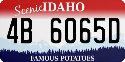 ID license plate 4B6065D