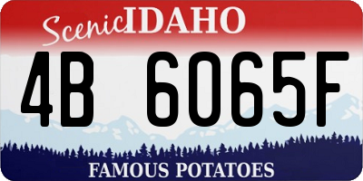 ID license plate 4B6065F