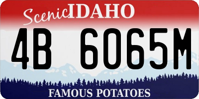 ID license plate 4B6065M