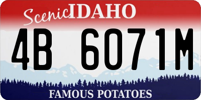 ID license plate 4B6071M