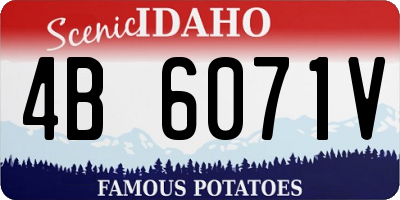 ID license plate 4B6071V