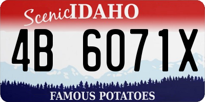 ID license plate 4B6071X