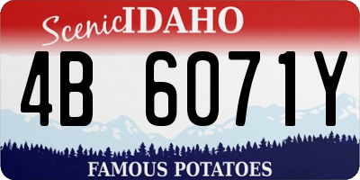 ID license plate 4B6071Y