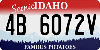 ID license plate 4B6072V