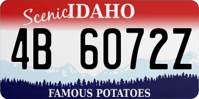 ID license plate 4B6072Z