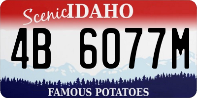 ID license plate 4B6077M