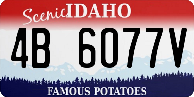 ID license plate 4B6077V