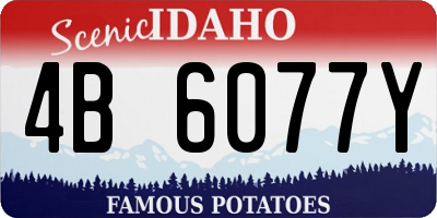 ID license plate 4B6077Y