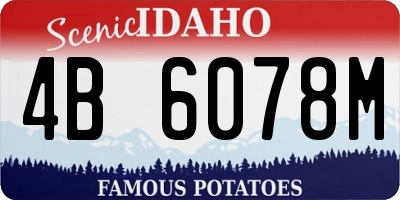 ID license plate 4B6078M
