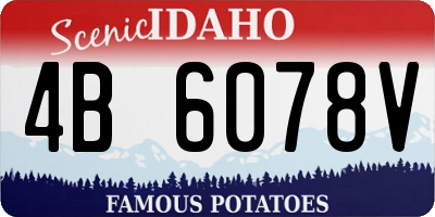 ID license plate 4B6078V