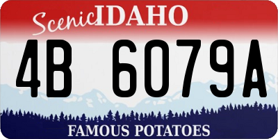 ID license plate 4B6079A