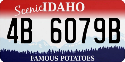 ID license plate 4B6079B