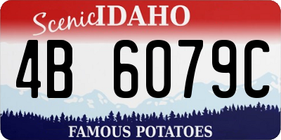 ID license plate 4B6079C