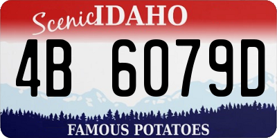 ID license plate 4B6079D