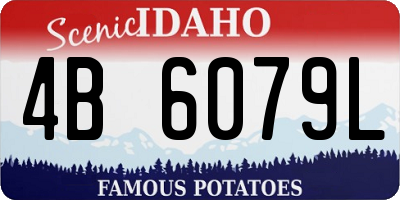 ID license plate 4B6079L