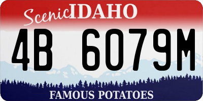 ID license plate 4B6079M