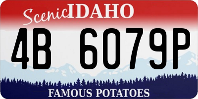 ID license plate 4B6079P