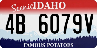 ID license plate 4B6079V