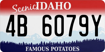 ID license plate 4B6079Y