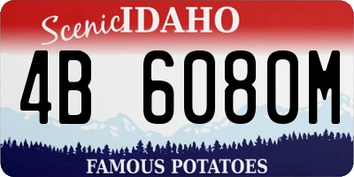 ID license plate 4B6080M