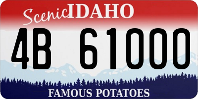 ID license plate 4B6100O