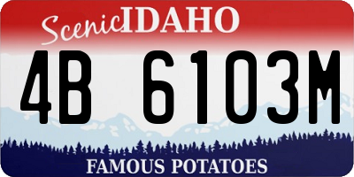ID license plate 4B6103M