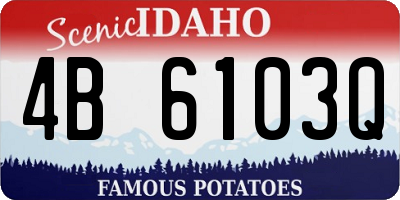 ID license plate 4B6103Q