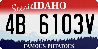 ID license plate 4B6103V