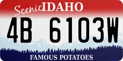 ID license plate 4B6103W