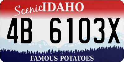 ID license plate 4B6103X