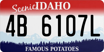 ID license plate 4B6107L