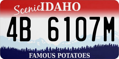 ID license plate 4B6107M