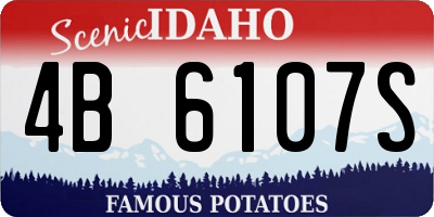 ID license plate 4B6107S