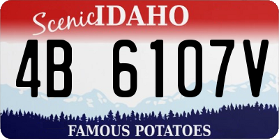 ID license plate 4B6107V