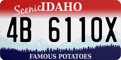 ID license plate 4B6110X