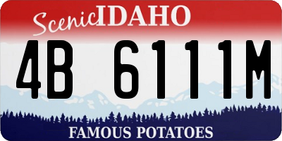 ID license plate 4B6111M
