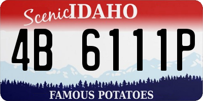 ID license plate 4B6111P