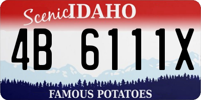 ID license plate 4B6111X