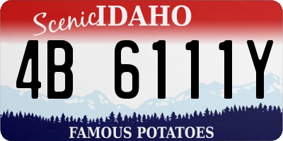 ID license plate 4B6111Y
