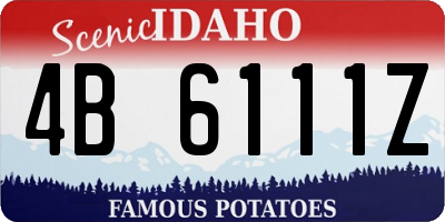 ID license plate 4B6111Z
