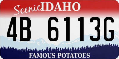ID license plate 4B6113G