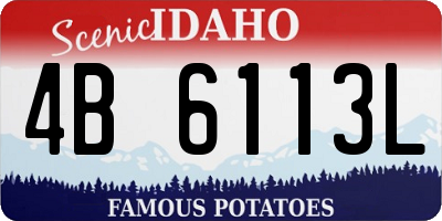 ID license plate 4B6113L