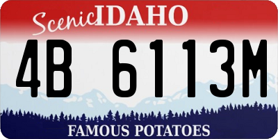ID license plate 4B6113M