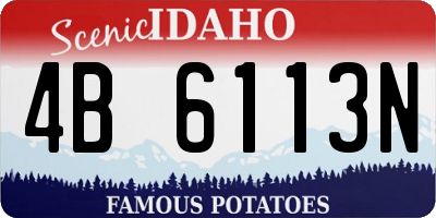 ID license plate 4B6113N